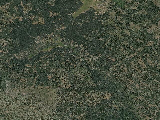 Aerial image of Martins Dairy Horse Camp