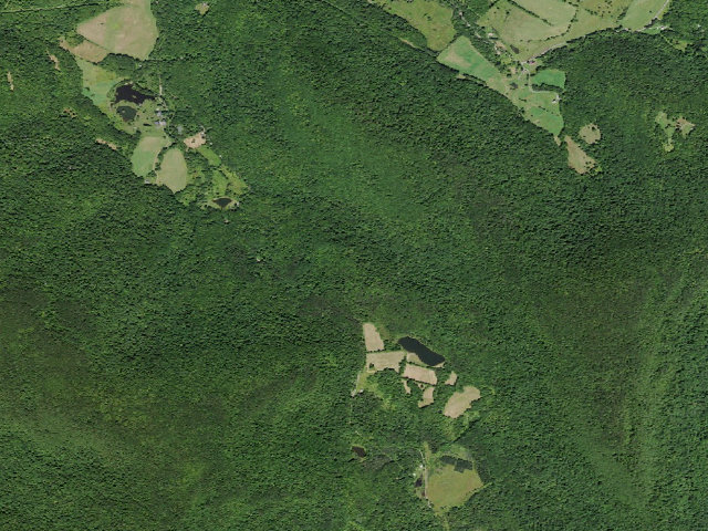 Aerial image of Mary Smith Hill Road Primitive Campsite [DEC #16689] (Delaware Wild Forest)