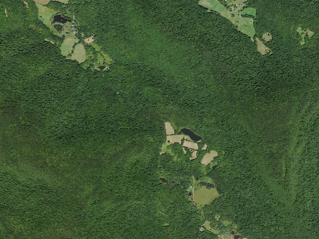 Aerial image of Mary Smith Hill Road Primitive Campsite [DEC #16690] (Delaware Wild Forest)