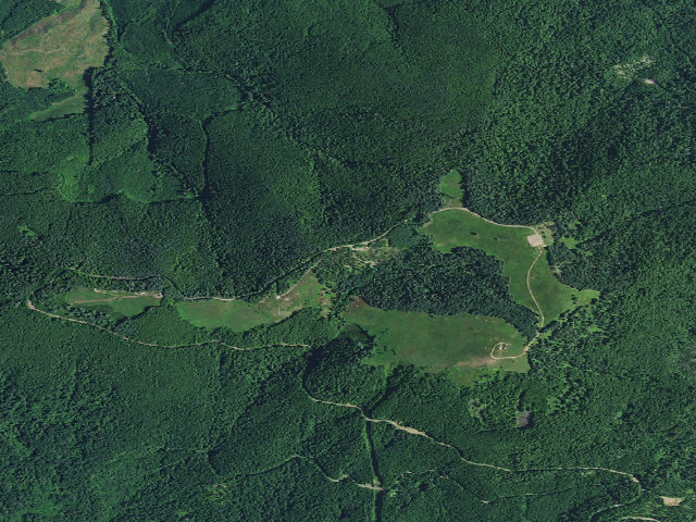 Aerial image of Marys Peak Campground