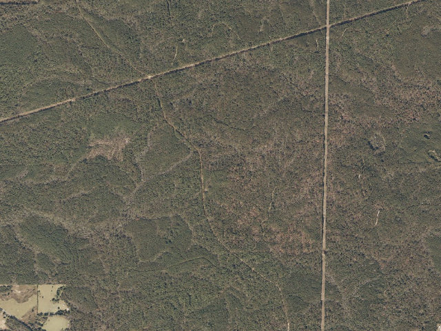 Aerial image of Mason Creek WMA camp site 2