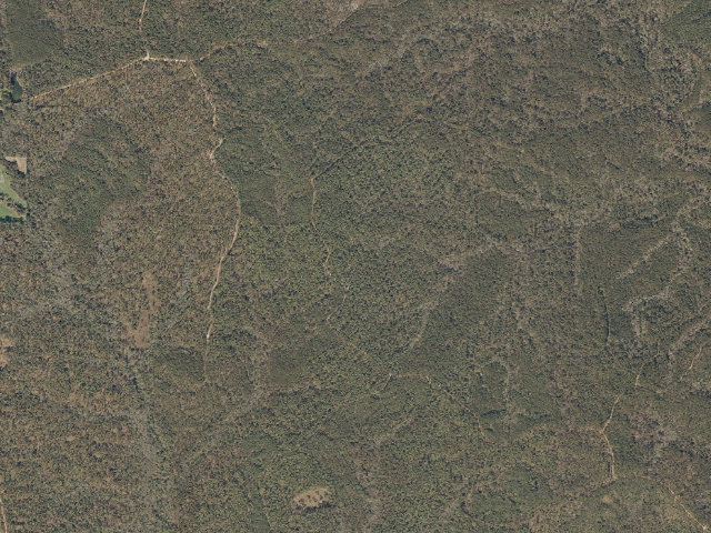 Aerial image of Mason Creek WMA camp site 4