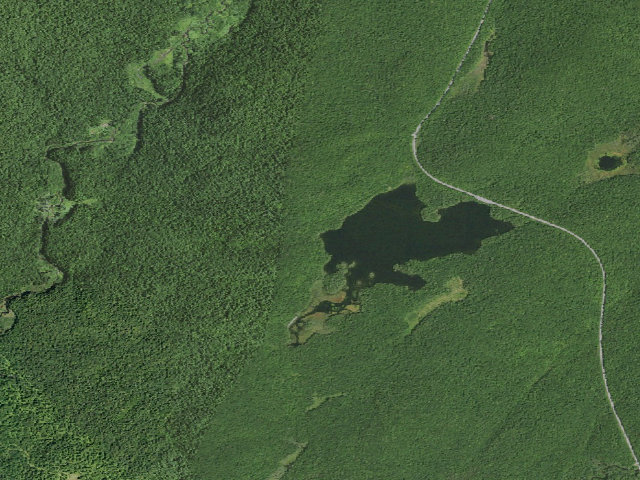 Aerial image of Mason Lake 1A (Jessup River Wild Forest)