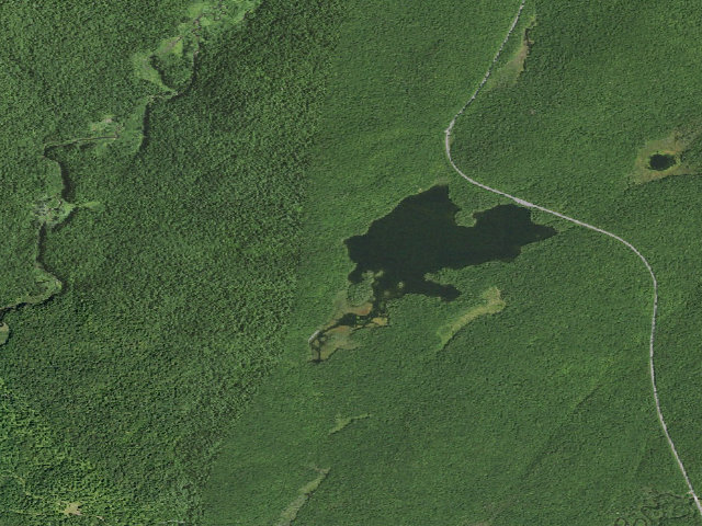 Aerial image of Mason Lake 2 (Jessup River Wild Forest)