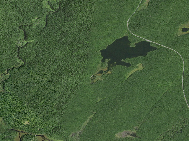 Aerial image of Mason Lake 3 (Jessup River Wild Forest)