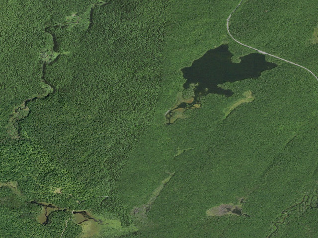 Aerial image of Mason Lake 4 (Jessup River Wild Forest)