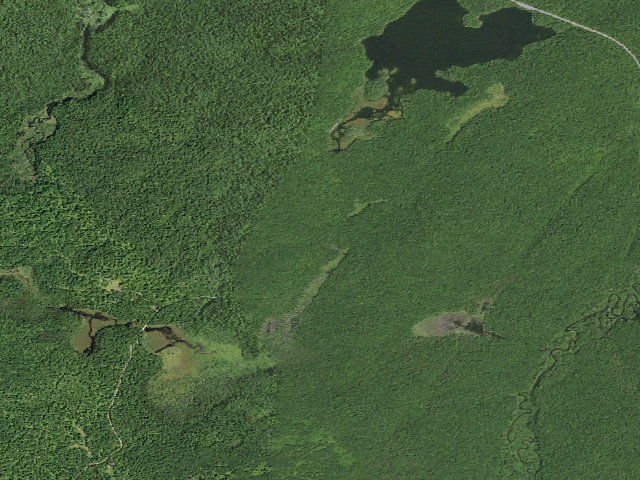 Aerial image of Mason Lake 5 (Jessup River Wild Forest)