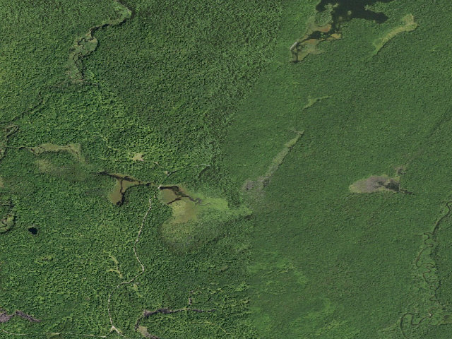 Aerial image of Mason Lake 6 (Jessup River Wild Forest)