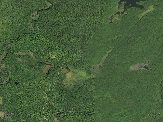 Aerial image of Mason Lake 7 (Jessup River Wild Forest)