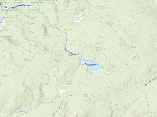 USGS topographic map of Massawepie Pond Campsite (Watsons East Triangle Wild Forest)