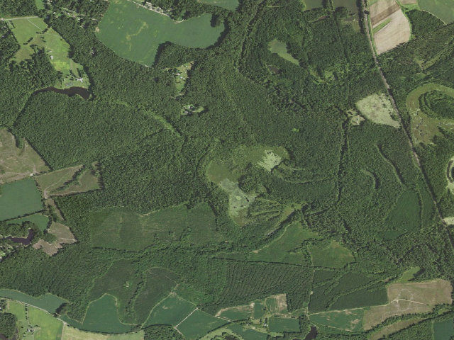 Aerial image of Mattaponi Bluffs WMA
