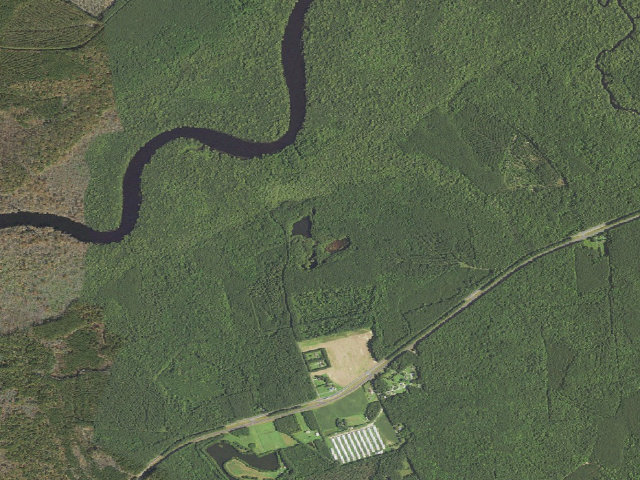 Aerial image of Mattaponi Ponds Camping Area (Pocomoke State Forest)
