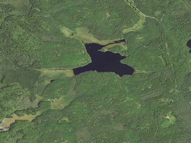 Aerial image of Maude Lake Campsite