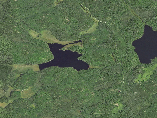 Aerial image of Maude Lake Site 2