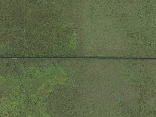 Aerial image of Maurepas Swamp WMA tent camping area 1