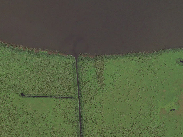 Aerial image of Maurepas Swamp WMA tent camping area 2