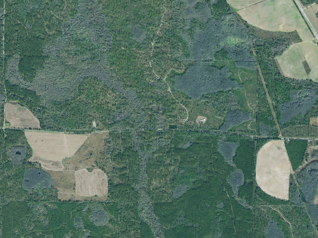 Aerial image of Mayhaw WMA Primitive Campground #1