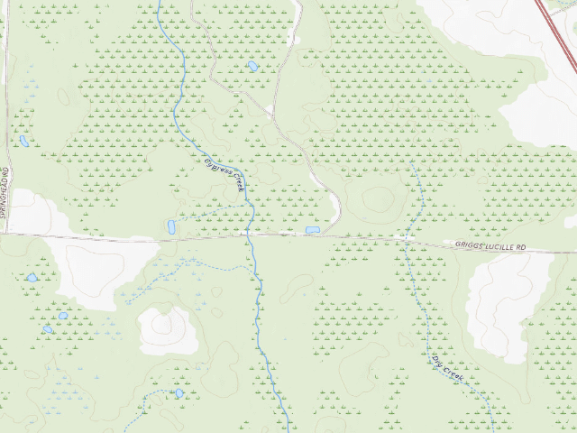 USGS topographic map of Mayhaw WMA Primitive Campground #1