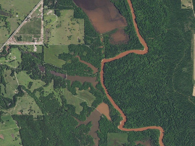 Aerial image of Mcadams pond camping (Tishomingo WMU)
