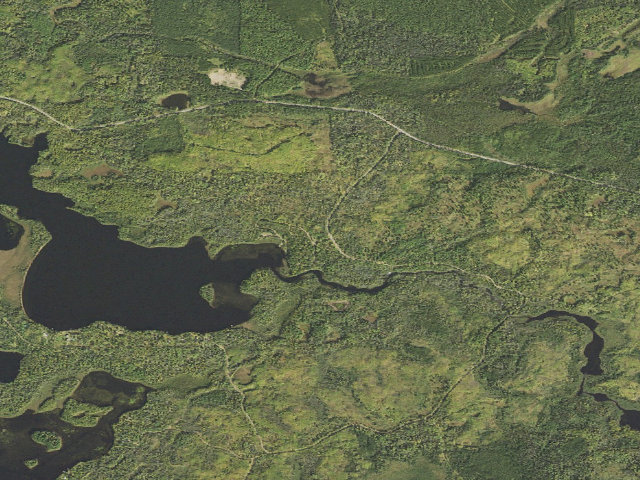 Aerial image of McDougal Lake Campground