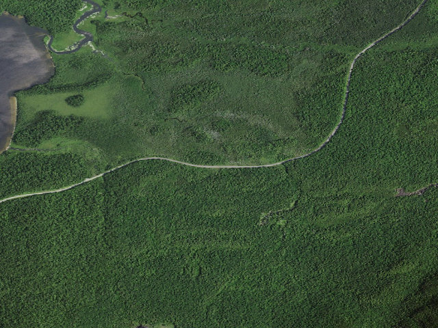 Aerial image of Mckenna Brook Campsite (Saranac Lakes Wild Forest)