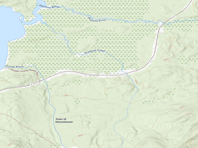 USGS topographic map of Mckenna Brook Campsite (Saranac Lakes Wild Forest)