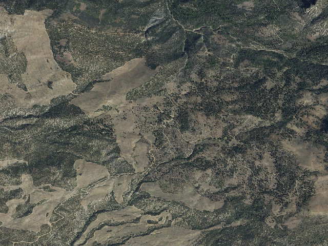 Aerial image of McMillan Springs Campground