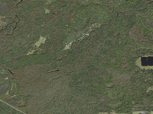 Aerial image of McNeil (Green Swamp Wilderness Preserve - West Tract)