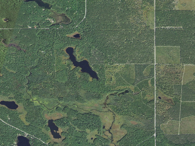 Aerial image of Mcneil Lake Camping Area
