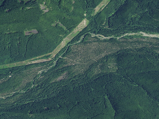 Aerial image of Mcneil