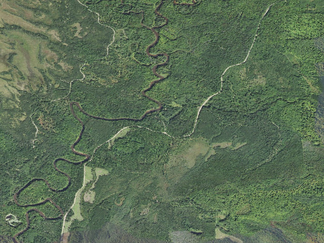 Aerial image of Mead Creek State Forest Campground