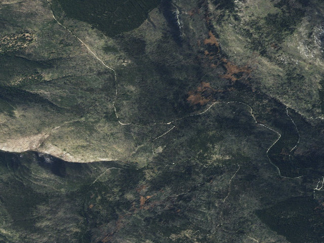 Aerial image of Meadow-01