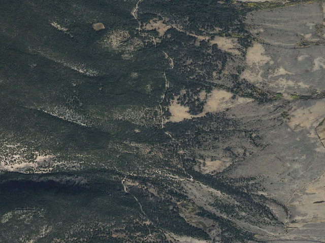 Aerial image of Meadow