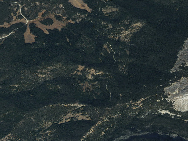 Aerial image of Meadow