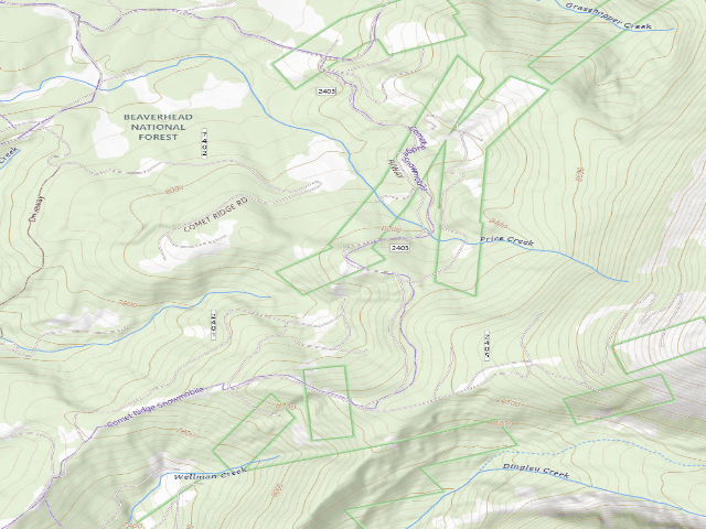 USGS topographic map of Meadow
