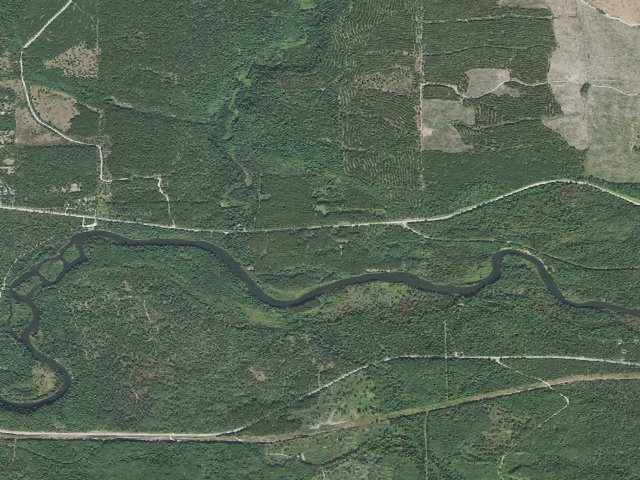 Aerial image of Meadow Springs Backcountry Campsites