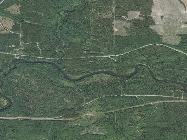 Aerial image of Meadow Springs Campground