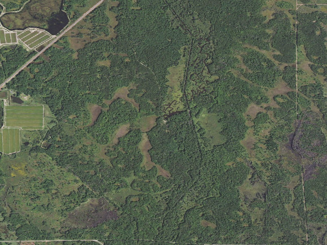 Aerial image of Meadow Valley Wildlife Area – Designated Primitive Camp Site (OSM "MVWA 6")
