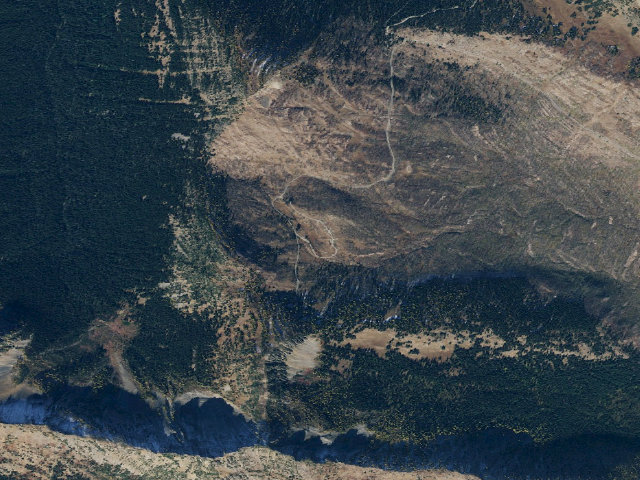 Aerial image of Meadows