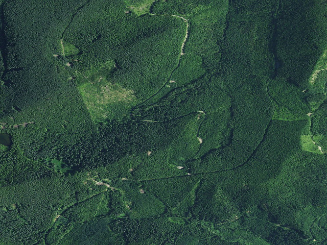Aerial image of Memaloose Lake