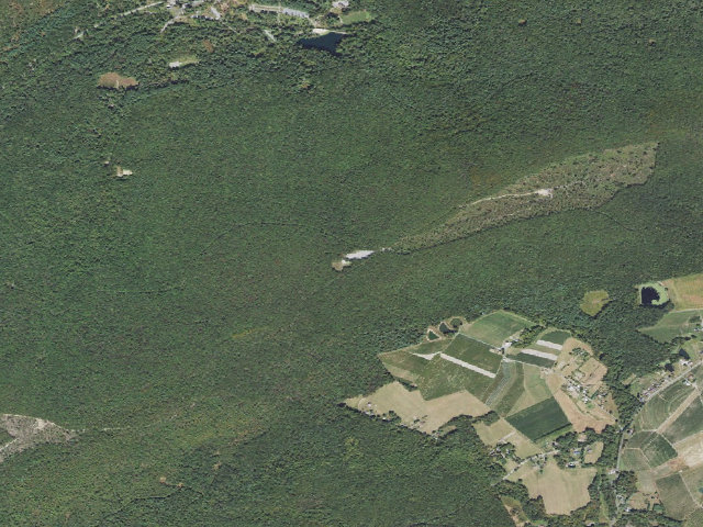 Aerial image of Michaux State Forest roadside campsite 002A (Piney Mountain Parking Area)