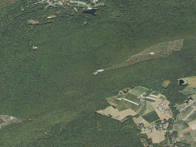 Aerial image of Michaux State Forest roadside campsite 002B (Piney Mountain Parking Area)