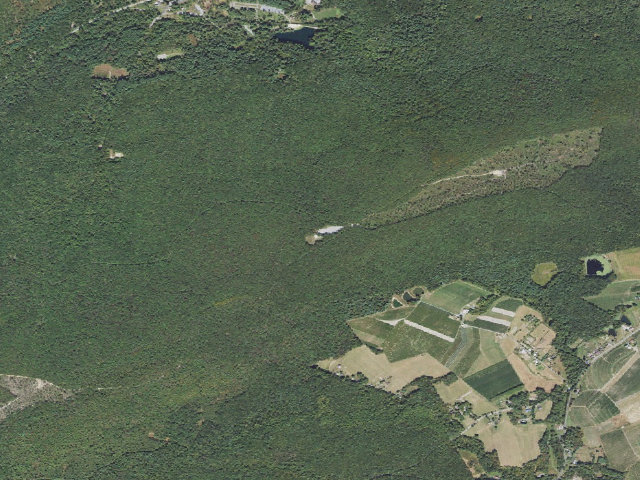 Aerial image of Michaux State Forest roadside campsite 002C (Piney Mountain Parking Area)