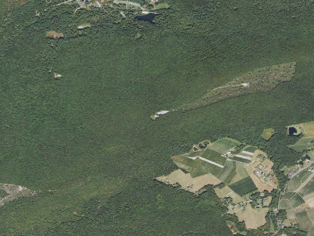 Aerial image of Michaux State Forest roadside campsite 002D (Piney Mountain Parking Area)