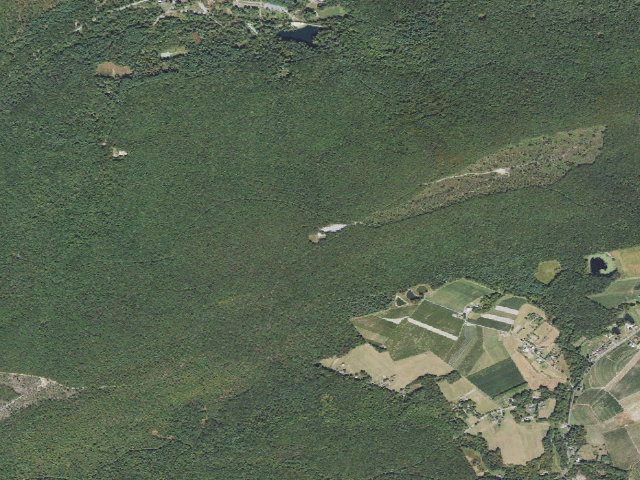 Aerial image of Michaux State Forest roadside campsite 002E (Piney Mountain Parking Area)