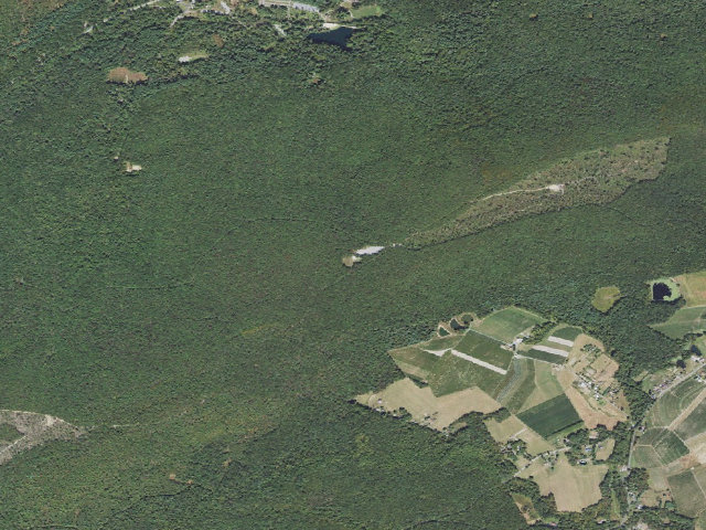 Aerial image of Michaux State Forest roadside campsite 002F (Piney Mountain Parking Area)