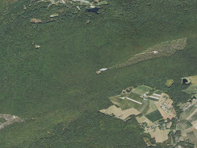 Aerial image of Michaux State Forest roadside campsite 002G (Piney Mountain Parking Area)