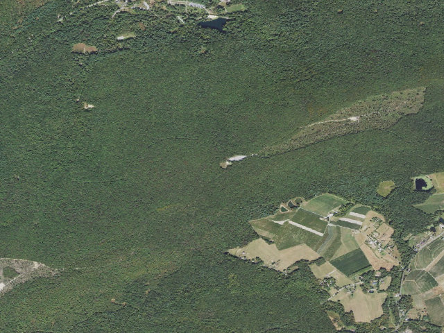 Aerial image of Michaux State Forest roadside campsite 002J (Piney Mountain Parking Area)