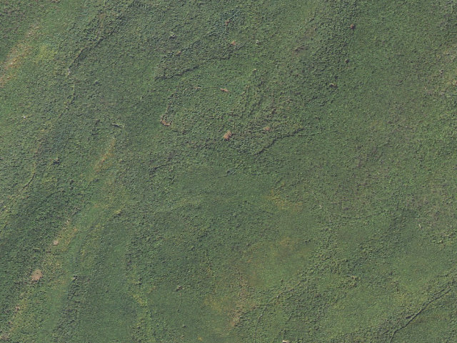 Aerial image of Michaux State Forest roadside campsite 003 Whispering Pines