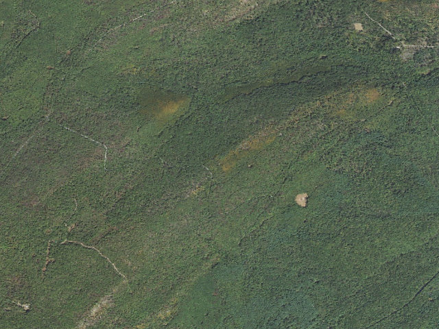 Aerial image of Michaux State Forest roadside campsite 004 Birch Tree Ridge